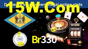 Experiência VIP Br330